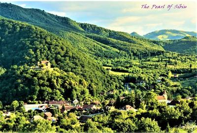 Parcele Teren cu PUZ si toate utilitatile / Cisnadioara-Sibiu - 15