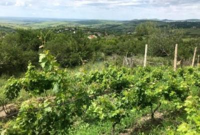 Teren de 1700 mp, în Vispești - 1