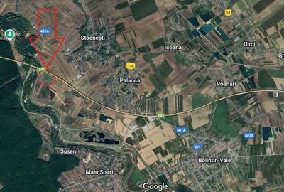 Teren Construcții extravilan de 14103 mp, în Stoenești (Florești-Stoenești) - 2