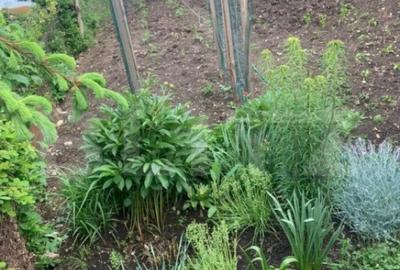 Casă cu 3 camere cu Teren 252 Mp în Turda - 6