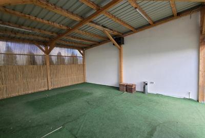 Casă individuală cu 5 camere cu Teren 2500 Mp în Luncușoara - 14