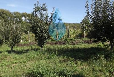 Teren Construcții intravilan de 3240 mp, în Bârnova