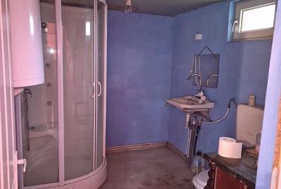 Casă cu 2 camere cu Teren 750 Mp în Biharia - 2