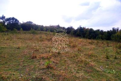 Teren agricol extravilan de 6000 mp, în Satu Nou - 1