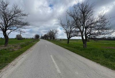 Spațiu comercial, în Bucovăț - 5