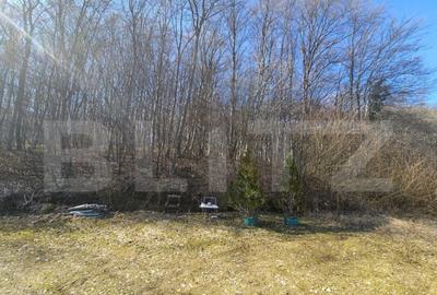 Teren intravilan, 1195 mp, urbanism de constructie casa, Fag - 2