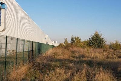 Teren de 9400 mp, în Dragomirești-Deal - 2