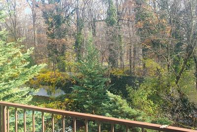 Vila P+1 la liziera Padurii Baneasa, Sector 1, Bucuresti, zona Liceul Francez - 15