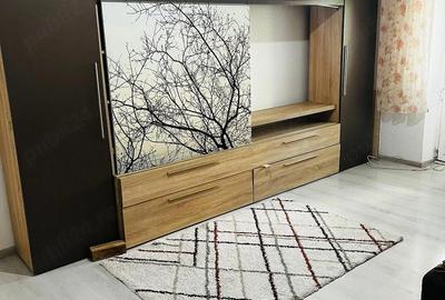 Apartament cu 2 camere decomandat în Lovrin - 1