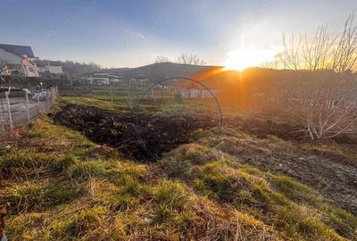 Teren Intravilan 700mp valea jelnei - 3