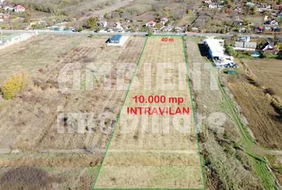 Teren agricol intravilan de 10000 mp, în Exterior Est - 3