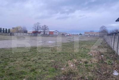 Teren intravilan, multifunc?ional, 8000mp - 6