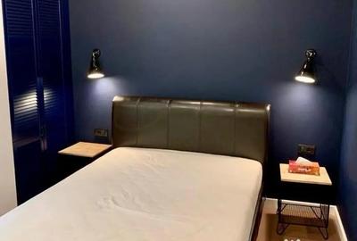 Apartament cu 2 camere semidecomandat, mobilat în Herăstrău - 8