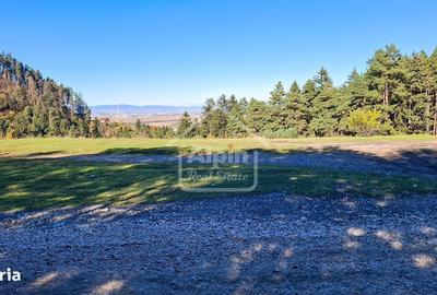 Spațiu comercial, în Poiana Angelescu - 12