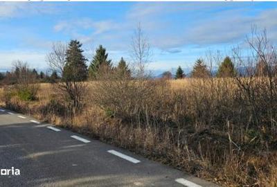 Teren de 42048 mp, în Sărmaș - 5