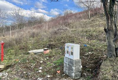 Teren de 810 mp, în Podgoria