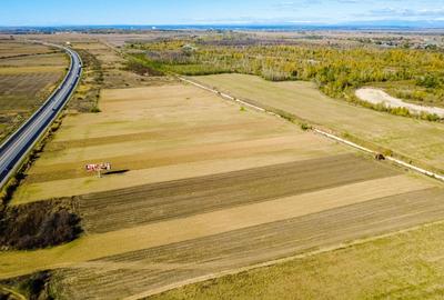 Terenuri industriale cu deschidere la A1, km 64 – Jugureni, Dambovita - 10