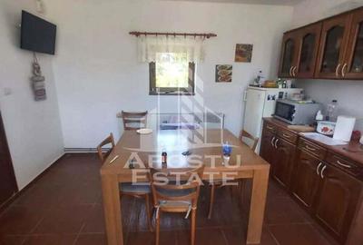 Casa individuala, in Curtici, jud. Arad. - 4