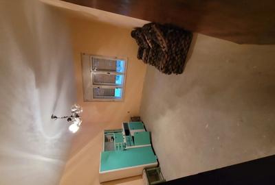 Vand casa in serbia jasa tomic - 5