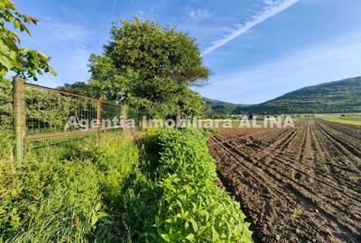 Teren de 4094 mp, în Șoimuș - 10