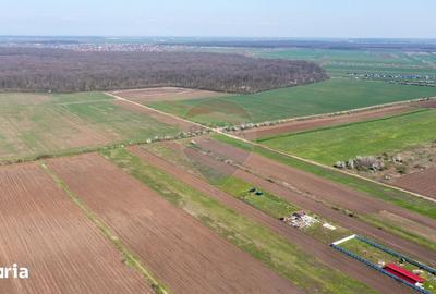 Teren de 500 mp, în Săbăreni - 4