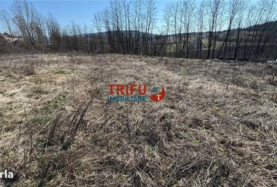 Teren de 675 mp, în Ciugud - 4