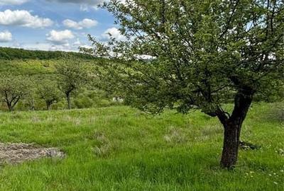 Spațiu comercial, în Unirea - 1