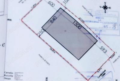 Casă cu Teren 350 Mp în Central - 3