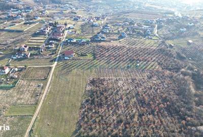 Spațiu comercial, în Paleu - 2
