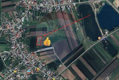Teren intravilan de vanzare 4,445 mp Km 30-A1/ Icoana / Ulmi - 2