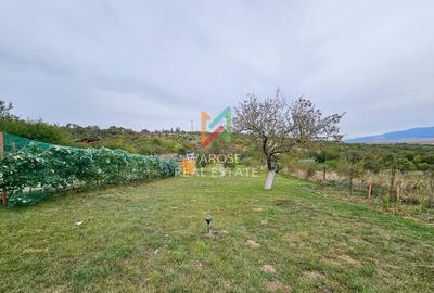 Teren Investitie- 1730 mp-Cabana construita 60 mp - 15