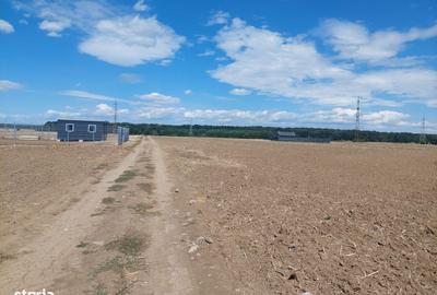 Spațiu comercial, în Balotești - 3