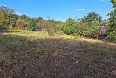 Casă cu 2 camere în Cojocna - 4