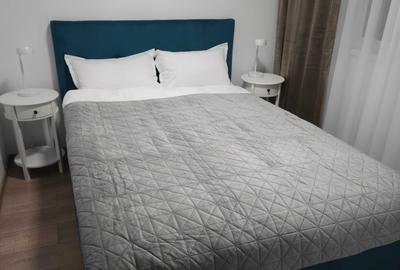 Apartament cu 2 camere decomandat, mobilat în Ultracentral - 3