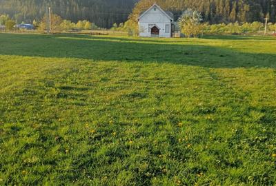 Casă cu 6 camere cu Teren 2676 Mp în Frasin - 10