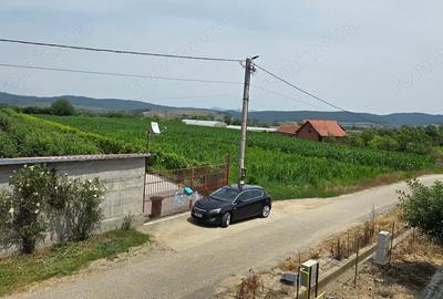 Casă cu 6 camere în Leșnic - 10