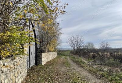 Teren de 953 mp, în Săteni - 3
