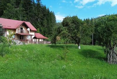 Casă cu Teren 1768 Mp în Cacica - 3