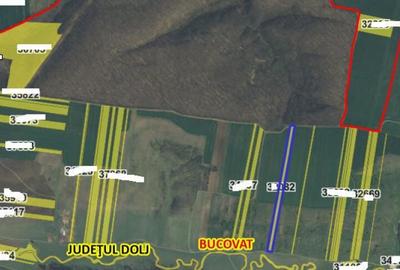 Teren extravilan Loc. Bucovat sat Sarbatoarea, jud. Dolj - 1