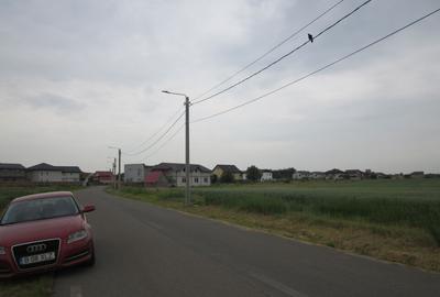 Domnesti-Narciselor. - 3