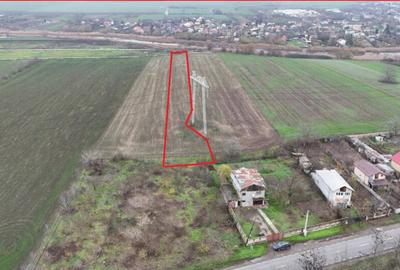 Teren de 7630 mp, în Frumușani - 5