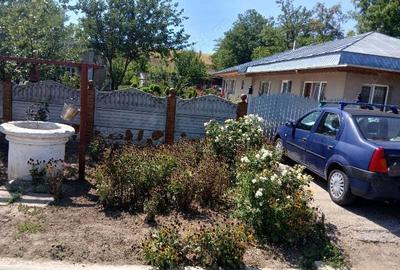 Casa de vanzare urgent cu vie ?i pomi fructiferi - 3