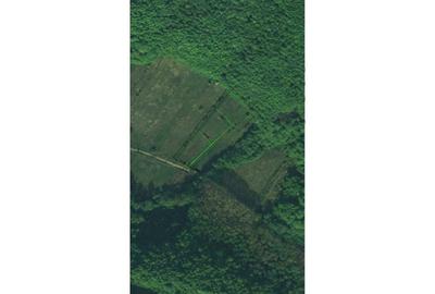 Spațiu comercial, în Enculești - 3