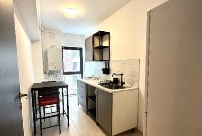 Garsoniera Studio Moghioros Park Residence - 4