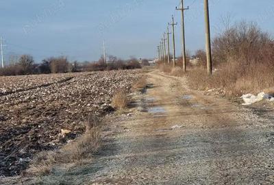 Teren de 8000 mp, în Măgurele - 10