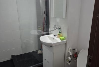 Garsonieră în Valea Rosie - 5