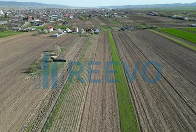 Teren de 10500 mp, în Nicolae Bălcescu - 12