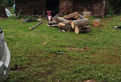 Casă cu 5 camere cu Teren 6800 Mp în Hărțăgani - 4