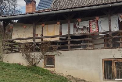 Casă cu Teren 11196 Mp în Central - 3