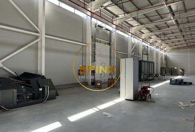 Spațiu industrial, de 2,252 mp, în Cernica - 9